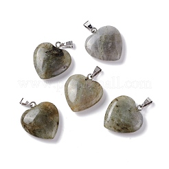 Natural Labradorite Pendants&nbsp;G-G956-B24-FF
