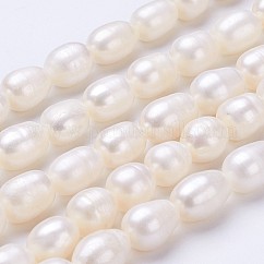 Natural Cultured Freshwater Pearl Beads Strands, Rice, Seashell Color, 11~13x9~10mm, Hole: about 0.5mm, about 30pcs/strand, 13.8 inch