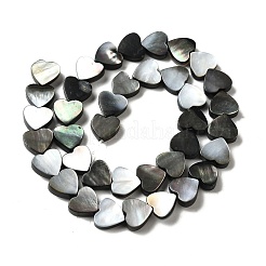 天然ブラックリップシェルビーズ連売り  ハート  10x10.5~11x3.5~4mm  穴：1.2mm  約38個/連  14.17''（36cm）〜14.25''（36.2cm）&nbsp;BSHE-D300-06B