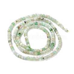Natural Chrysoprase Beads Strands&nbsp;G-K315-A05