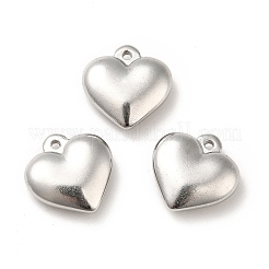 Non-Tarnish 304 Stainless Steel Pendants&nbsp;STAS-H172-01P