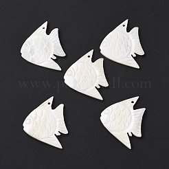 天然淡水シェルペンダント  魚のチャーム  ホワイト  34x43x2.5mm  穴：2.5mm&nbsp;SHEL-H001-02