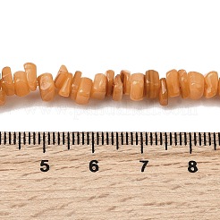 天然淡水シェルビーズ  染め  ナゲット  砂茶色  4.5~9x4.5~7x1.5~5mm  穴：0.8mm  約163~165個/連  14.88~15.08''（37.8~38.3センチメートル）&nbsp;SHEL-B003-01H