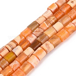 Natural Agate Beads Strands&nbsp;G-Q606-60A-01