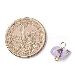 Dyed Natural Trochid Shell Connector Charms&nbsp;PALLOY-JF04585