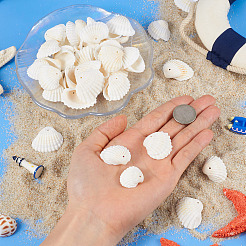 Shell Pendants&nbsp;SSHEL-TA0001-03