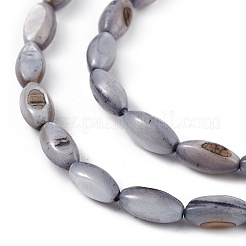 天然淡水貝殻染めビーズ連売り  馬の目  スレートグレイ  9~11.5x4~6mm  穴：0.8mm  約33~41個/連  14.96~15.35インチ（38~39cm）&nbsp;X-SHEL-M018-13-04