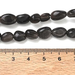 天然銀光沢の黒曜石ビーズ 連売り  タンブルストーン  ナゲット  6~14x6~8x4~6mm  穴：1mm  約20~24個/連  7.09~7.48''（18~19センチメートル）&nbsp;G-C286-A21