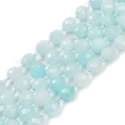 Natural Malaysia Jade Beads Strands&nbsp;G-D305-A01-01C