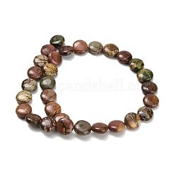 Natural Picasso Stone/Polychrome Jasper Beads Strands&nbsp;G-Z110-E02