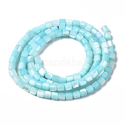 Natural Trochid Shell/Trochus Shell Bead Strands&nbsp;SSHEL-N034-77-C04