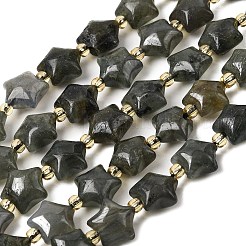 Natural Labradorite Beads Strands&nbsp;G-Z080-A33-10mm