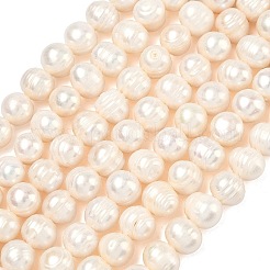 Natural Cultured Freshwater Pearl Beads Strands&nbsp;PEAR-L034-12B