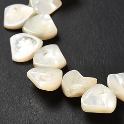 天然ホワイトシェルビーズ連売り  三角形  ホワイト  12x12x3mm  穴：0.5mm  約46個/連  15.55インチ（39.5cm）&nbsp;SHEL-G014-15