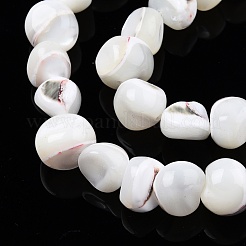 Natural Trochid Shell/Trochus Shell Beads Strands&nbsp;SSHEL-N032-48-B01