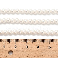 AB Color Plated Shell Pearl Round Beads Strands&nbsp;BSHE-XCP0001-31