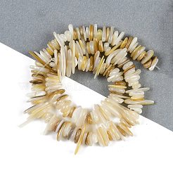 天然ニシキウズガイシェルビーズ連売り  チップ  淡黄色  7~19x4~8.5x1~3mm  穴：0.7mm  13.39~14.96''（34~38センチメートル）&nbsp;BSHE-H109-08