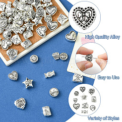 60Pcs 10 Styles Valentine's Day Theme Tibetan Style Alloy Beads&nbsp;TIBEB-CJ0001-38