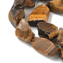 生の荒い天然タイガーアイビーズ連売り  ナゲット  6~24x7~16x4~10mm  穴：1mm  約25~38個/連  15.35~15.94''（39~40.5センチメートル）&nbsp;G-M453-D10