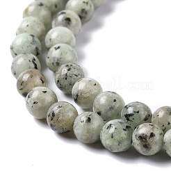Natural Sesame Jasper/Kiwi Jasper Bead Strands&nbsp;X-G-R345-6mm-12