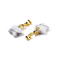 Natural Howlite Charms&nbsp;G-N326-142-10