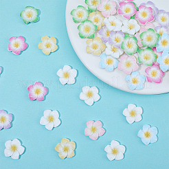 プルメリアの花の不透明樹脂カボション  ミックスカラー  20~21x20~21x4.5~5mm  80個/セット&nbsp;CRES-BM0001-01A