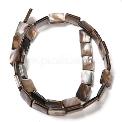 Natural Sea Shell Beads Strands&nbsp;SHEL-K006-21