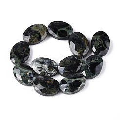 Natural Kambaba Jasper Beads Strands&nbsp;G-S354-13x18-A03