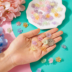 240Pcs 6 Colors Transparent UV Plating Acrylic Bead Caps&nbsp;OACR-TA0002-95