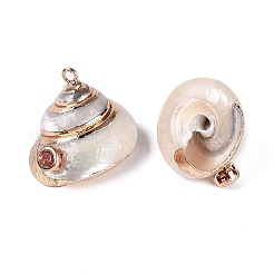 Electroplated Golden Brass Edged Natural Spiral Shell Pendants&nbsp;SSHEL-Q101-05