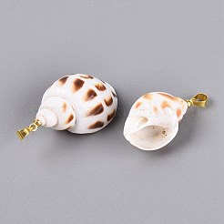 Brass & Natural Spiral Shell Pendants&nbsp;SHEL-Q029-16KCG