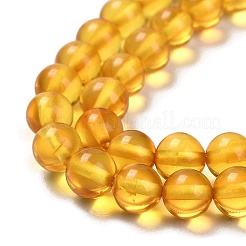 Natural Amber Beads Strands&nbsp;G-L584-02