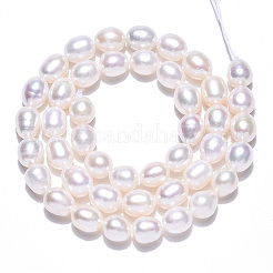 天然養殖淡水パールビーズ連売り  ライス  貝殻色  7~9x6.5~7.5mm  穴：0.7~0.8mm  約43~44個/連  14.37インチ（36.5cm）&nbsp;PEAR-N012-07K