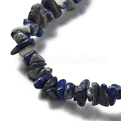 天然石ラピスラズリビーズ連売り  チップ  1~5x3~16x3~5mm  穴：0.8~0.9mm  29.92~32.68''（76~83センチメートル）&nbsp;G-E607-A01