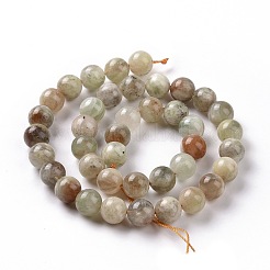 Natural Arusha Sunstone Beads Strands&nbsp;G-P488-04C
