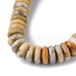 Natural Crazy Lace Agate Beads Strands&nbsp;G-F743-06J