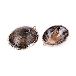 Electroplated Golden Brass Edged Natural Sea Shell Pendants&nbsp;SSHEL-Q101-01