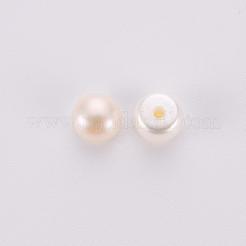 天然な培養された淡水パールビーズ  グレード3 A  片穴  ロンデル  フローラルホワイト  5x4mm  穴：0.8mm&nbsp;X-PEAR-P056-059B