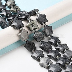 Natural Black Silk Stone/Netstone Beads Strands&nbsp;G-NH0005-009
