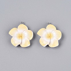 Opaque Resin Pendants&nbsp;RESI-T059-05F