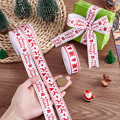 3 Rolls 3 Styles Polyester Ribbon&nbsp;OCOR-PH0006-32