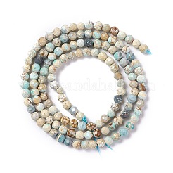 Natural Imperial Jasper Beads Strands&nbsp;G-L578-A03