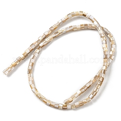 Natural Freshwater Shell Beads Strands&nbsp;SHEL-R129-05