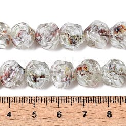 Handmade Lampwork Beads Strands&nbsp;LAMP-T021-26D