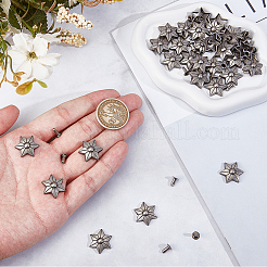 30Pcs Zinc Alloy Decorative Rivets&nbsp;FIND-GF0009-18