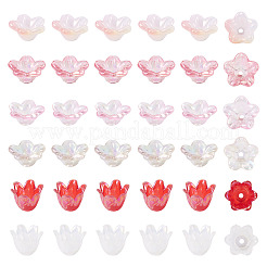 Acrylic Bead Caps&nbsp;OACR-TA0014-45E