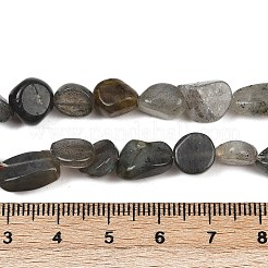 天然石ラブラドライトビーズ連売り  ナゲット  タンブルストーン  8~13x8~10x3~8mm  穴：1mm  約49~50個/連  15.55~15.75''（39.5~40センチメートル）&nbsp;G-Q060-E20-02
