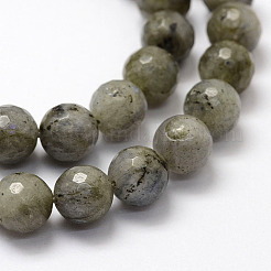 Faceted Natural Labradorite Beads Strands&nbsp;G-F364-17-8mm