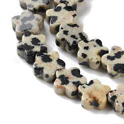 Natural Dalmatian Jasper Beads Strands&nbsp;G-B138-C08-01