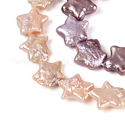 天然バロックケシパールビーズ連売り  有核真珠  スター  アザミ  9~14x9.5~14x2.5~6mm  穴：0.6mm  約33~35個/連  14.96~15.16インチ（38~38.5cm）&nbsp;PEAR-S020-Z03-02A